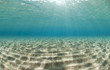 Ripples of sunlight reflected on the sandy ocean floor.