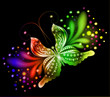 rainbow butterfly