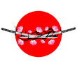 Katana & Sakura