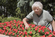 Senior woman flower garden