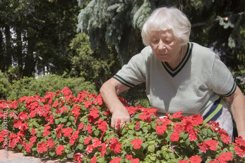 Photo: Senior woman flower garden Senior woman flower garden