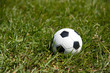 a football on a green green lawn