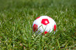 a red white football on a green lawn
