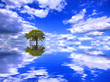 Photo: Baum des Lebens Baum des Lebens