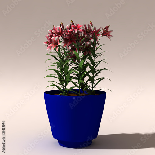 Illustration: Blumentopf mit Lilien Blumentopf mit Lilien