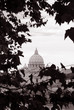 Roma, San Pietro