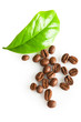 Coffee beans and green leaf of coffee plant on white Coffee beans and green leaf of coffee plant on white