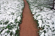 snow roads