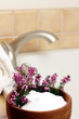 Bath Heather