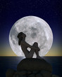 Enchanted Twilight
