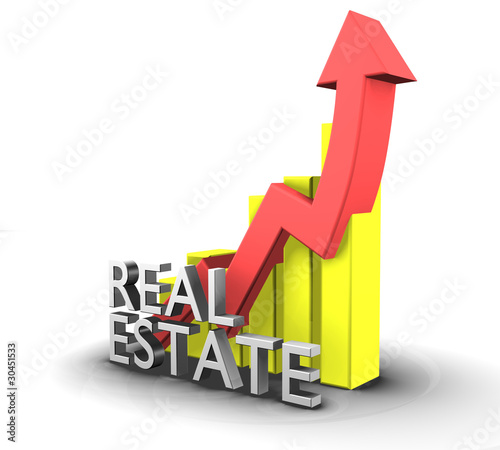 Illustration: Statistics graphic with real estate word - 3d Statistics graphic with real estate word - 3d