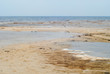 Ericetum