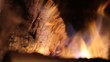 fiamme