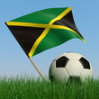 Image : Soccer ball in the grass and the flag of Jamaica