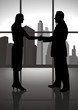 Silhouette of a male and female figure shaking hand