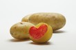 kartoffelstempel