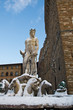 Neve sul Nettuno