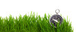 compass in green grass. compass in green grass.
