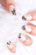 canvas print picture - fingernagel