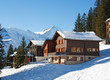 Winter holiday house
