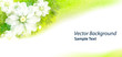 Green-Flora-Card