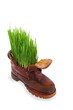 Easter, spring and force of nature Easter, spring and force of nature