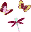 Decorated butterflies and dragonfly