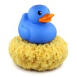 Blaue Badeente auf Schwamm