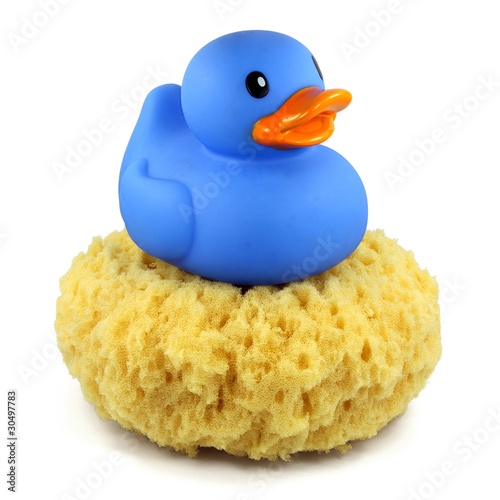 Photo: Blaue Badeente auf Schwamm Blaue Badeente auf Schwamm