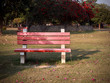 empty park bench