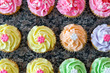 Rows and Rows of Cupcakes Rows and Rows of Cupcakes
