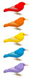 Colored Birds 1