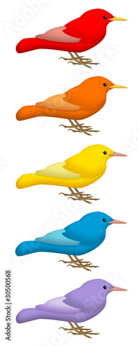Illustration: Colored Birds 1 Colored Birds 1