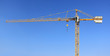 Grue