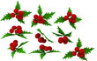 Green Holly Leaves