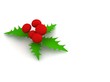 Christmas Holly Leaf