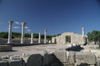 Photo: The ruins of Chersonese The ruins of Chersonese