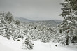 Photo: Puerto de Navacerrada Puerto de Navacerrada
