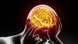 Video: From spine to brain journey From spine to brain journey
