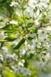Frühling 158.2