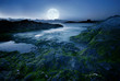 Photo: Full moon over the beach Full moon over the beach