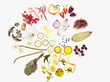 Variety of sliced vegetables