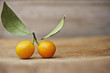 Close up of kumquats