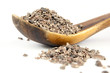 Cacao nibs