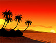 tropical beach background tropical beach background
