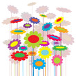 Spring flowers over white background