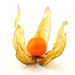 Frucht