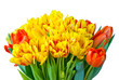 Bouquet of tulips isolated on white