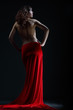 The girl in the red The girl in the red