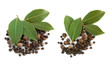 Fresh bay leaves Fresh bay leaves